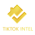 TikTok intel